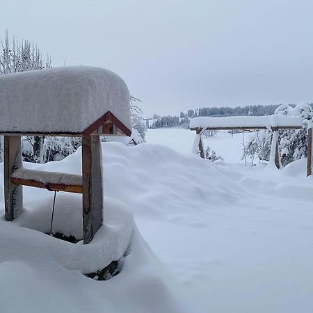 Trollenhof im Allgäu - Ferienwohnungen Säuling Ruckholz Exterior foto