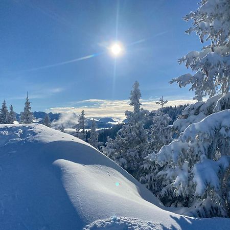 Trollenhof im Allgäu - Ferienwohnungen Säuling Ruckholz Exterior foto