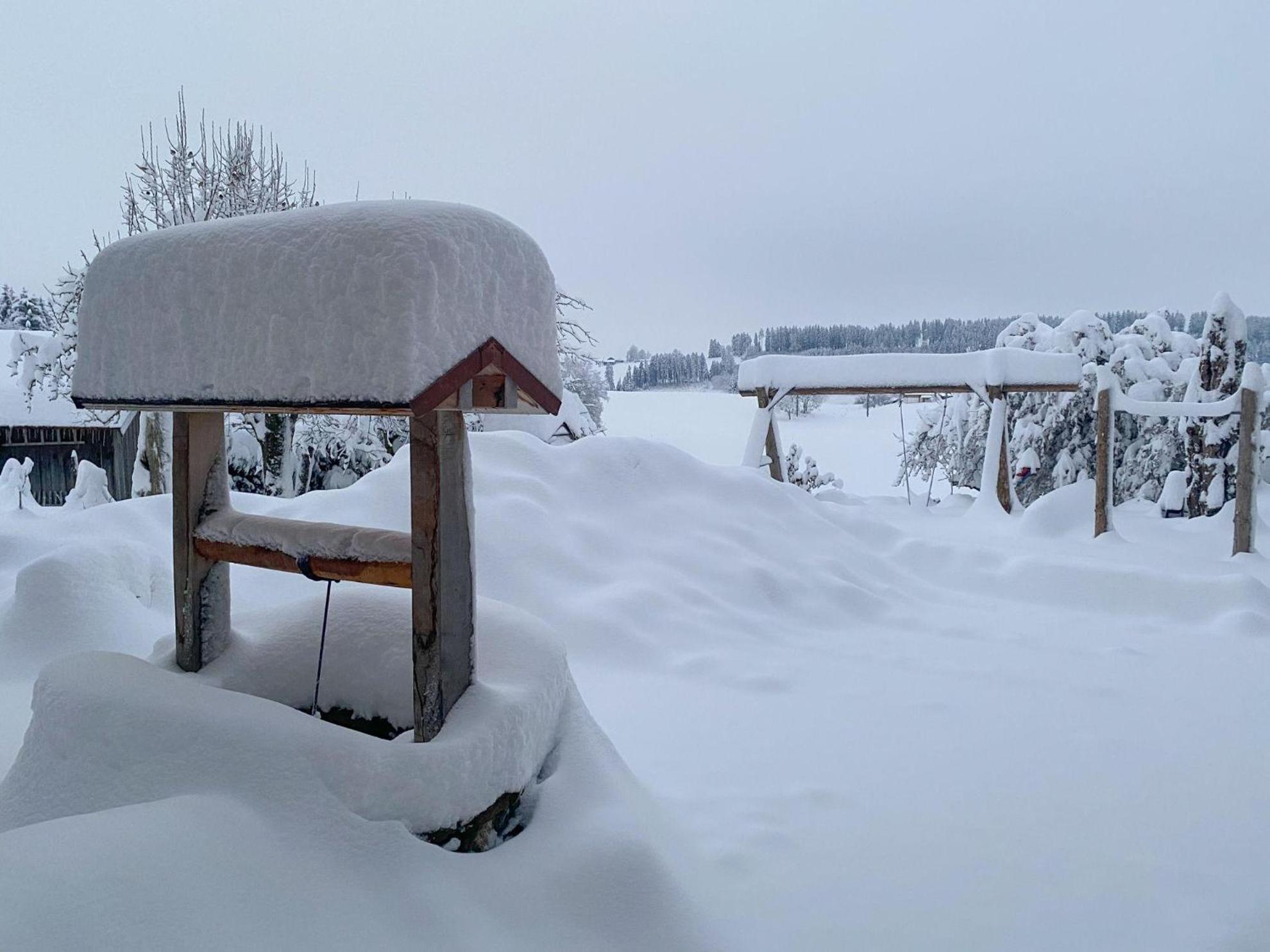 Trollenhof im Allgäu - Ferienwohnungen Säuling Ruckholz Exterior foto