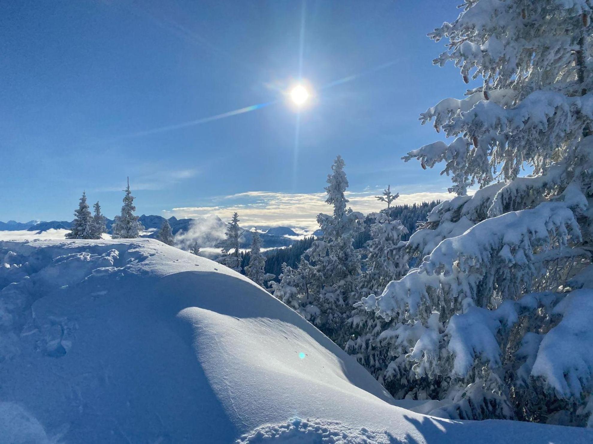 Trollenhof im Allgäu - Ferienwohnungen Säuling Ruckholz Exterior foto