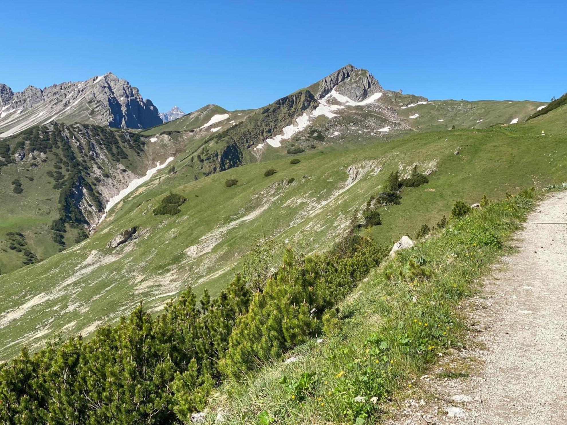 Trollenhof im Allgäu - Ferienwohnungen Säuling Ruckholz Exterior foto